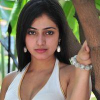 Haripriya New Photo Shoot - Pictures | Picture 115688